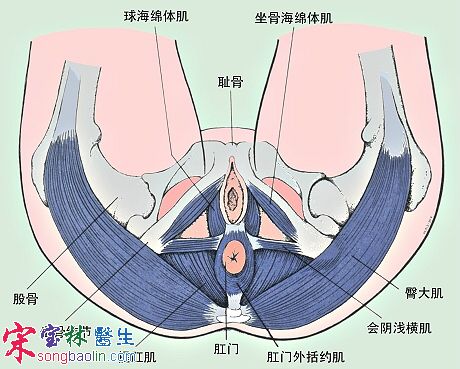 <a href=http://www.songbaolin.cn/niaokong/niaoshijin/10.html target=_blank class=infotextkey>׼ѵ</a>